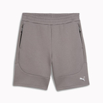 Мужские шорты PUMA EVOSTRIPE Shorts