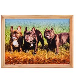 AMB-51/56 Картина «Французские бульдоги» (с янтарной крошкой) дер.рамка 21х30