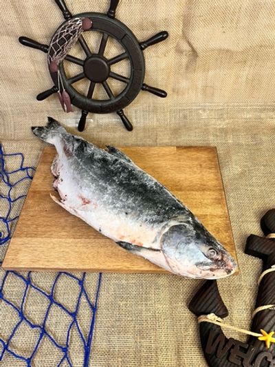 Горбуша дальневосточная