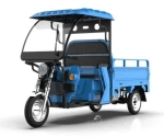 Электротрицикл грузовой Green Camel Тендер 2 (1000W 30км/ч) крыша, понижающая