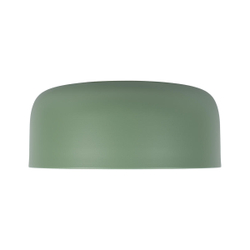 10201/350 Green Потолочный светильник LOFT IT Axel
