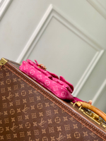 Louis Vuitton Pochette Accessoire Cargo