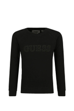 худые GUESS ACTIVE - черный(L2GQ29 KAIJ1)