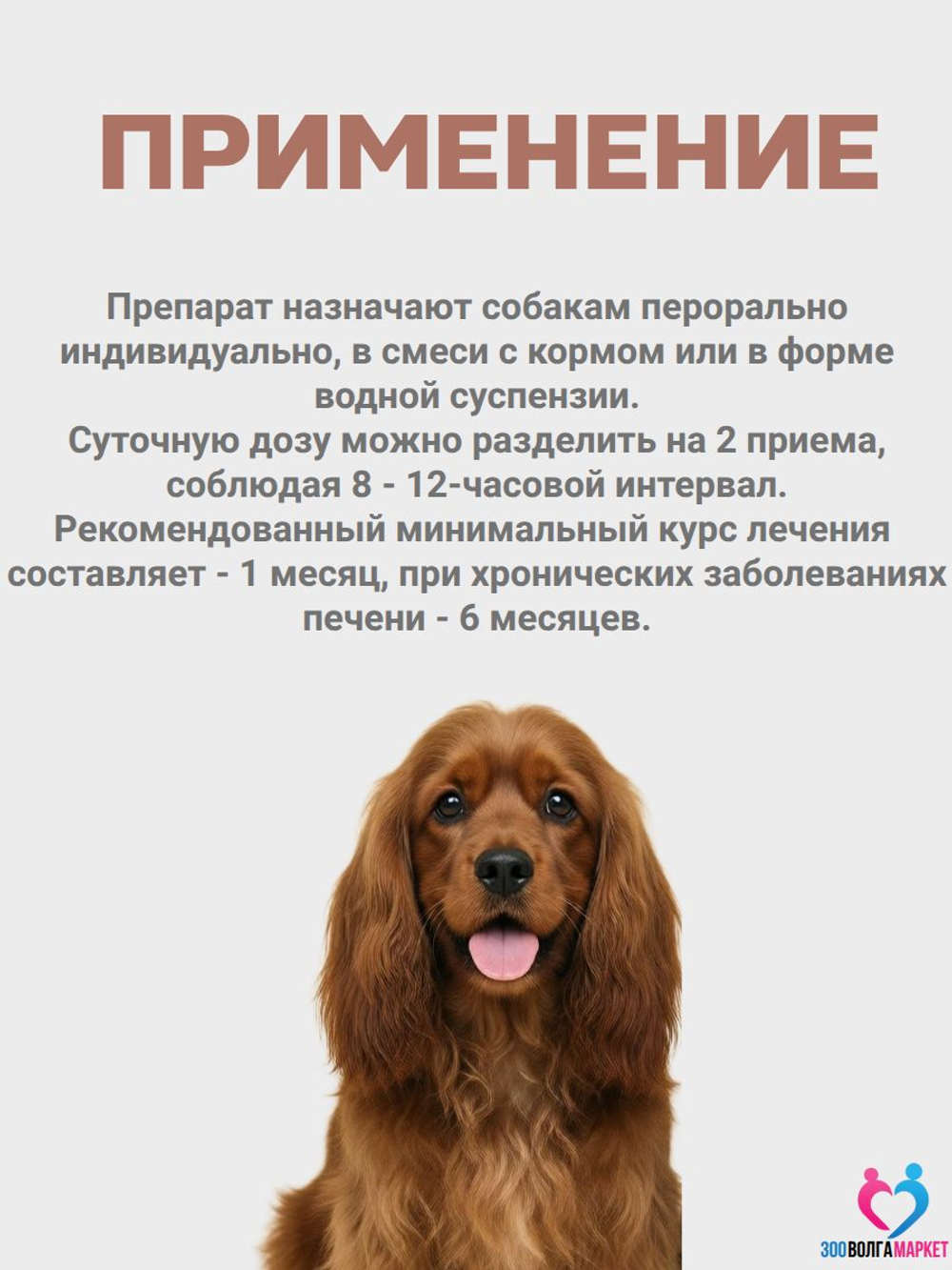 Урсогем гепатопротектор для защиты и восстановления печени и желчевыводящих путей для собак 5-10 кг, 20 таблеток (NITA-FARM)