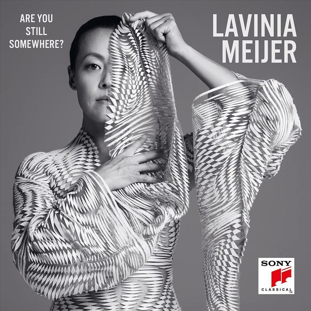 Lavinia Meijer - Are You Still Somewhere? - новая виниловая пластинка