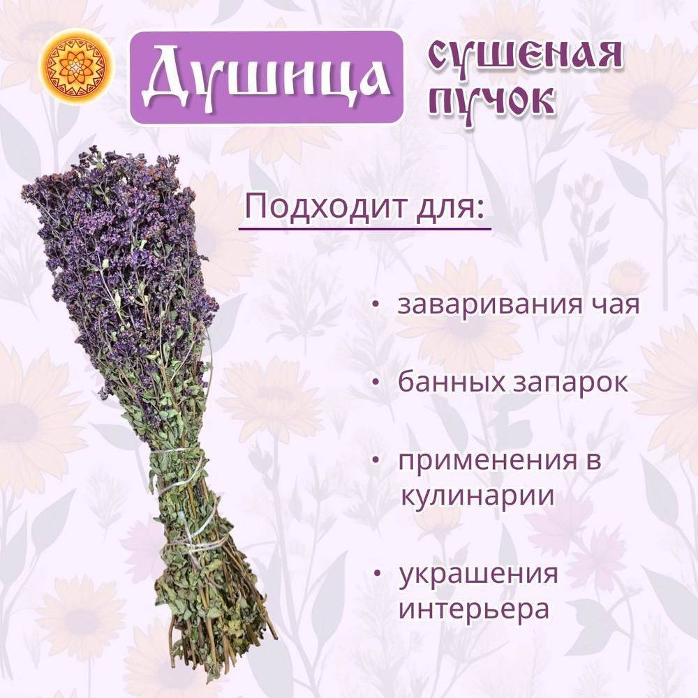 Душица, пучок.