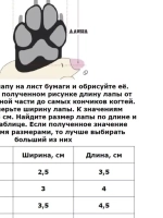 Ботинки для собак мелких пород зимние