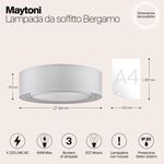 Потолочный светильник Maytoni MOD617CL-04GR