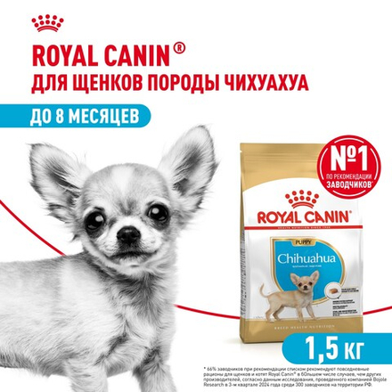 Royal Canin Chihuahua Puppy Чихуахуа Паппи Корм сухой для щенков породы Чихуахуа до 8 месяцев 1,5кг
