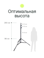 Стойка Raylab LS260CA 2,6м с воздушной амортизацией