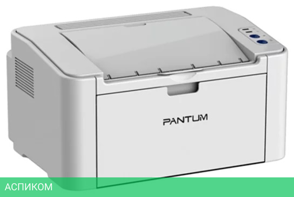 Принтер Pantum P2200 Grey