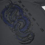Футболка Реглан DRAGON