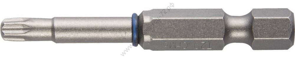 ЗУБР ЭКСПЕРТ TX 10, 50 мм, 2 шт., Торсионные биты (26015-10-50-2)