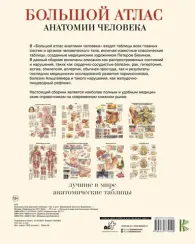 Большой атлас анатомии человека