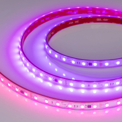 Светодиодная лента герметичная SPI-PS-B60-12mm 24V RGB-PX6-BPT (12 W/m, IP67, 5060, 5m) (Arlight, бегущий огонь) 039181