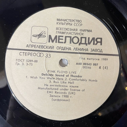 Винтажная виниловая пластинка LP Pink Floyd Delicate Sound Of Thunder (СССР 1989)