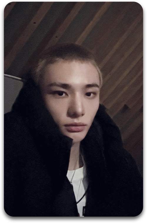 Карта / STRAY KIDS #2313