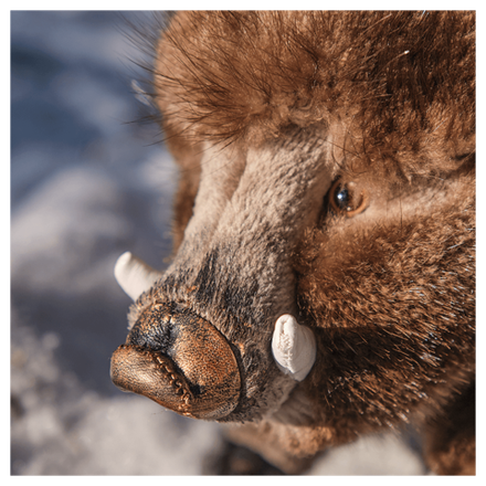 Мягкая игрушка из меха «Кабанчик»