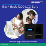 Источник бесперебойного питания Ippon Back Basic 1200 Euro черный (1687965)