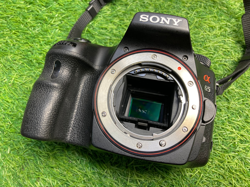 Sony A65 (18.000 кадров)