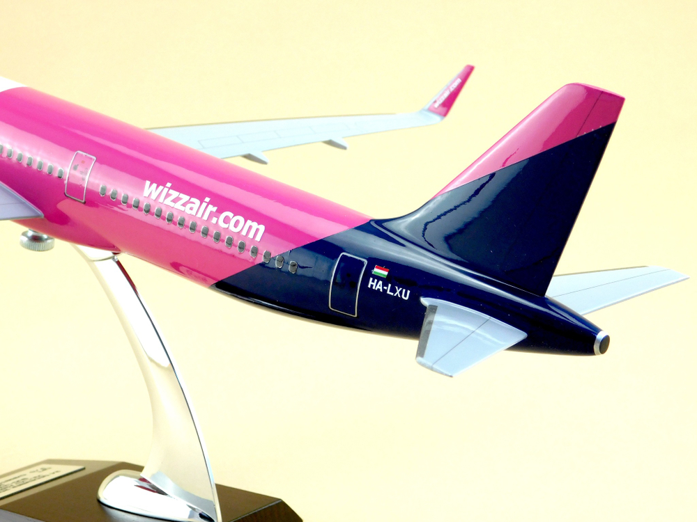 Модель самолета Airbus A321 (М1:100, Wizz Air)