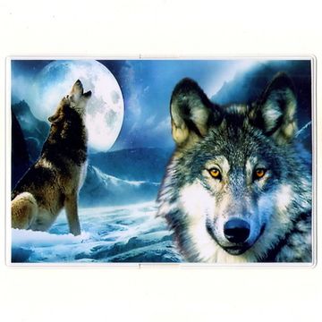 Обложка Волк (318)