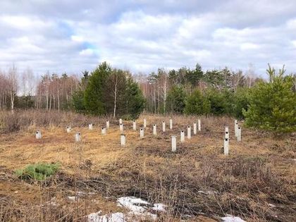 Строительство домов на продажу