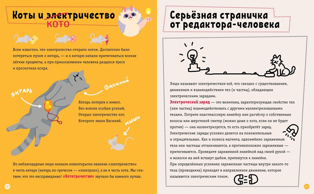 Котофизика