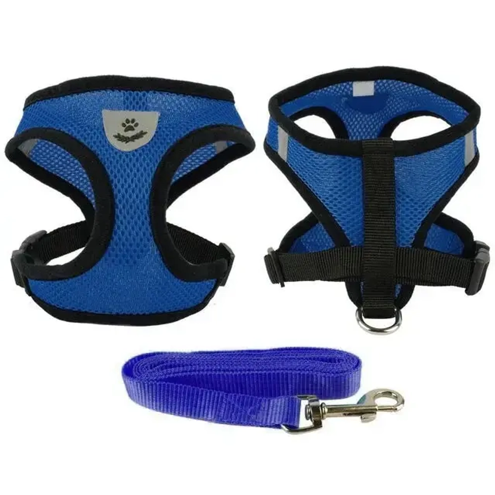 Шлейка с поводком 118см «Sweet puppy» размер M, цвет голубой