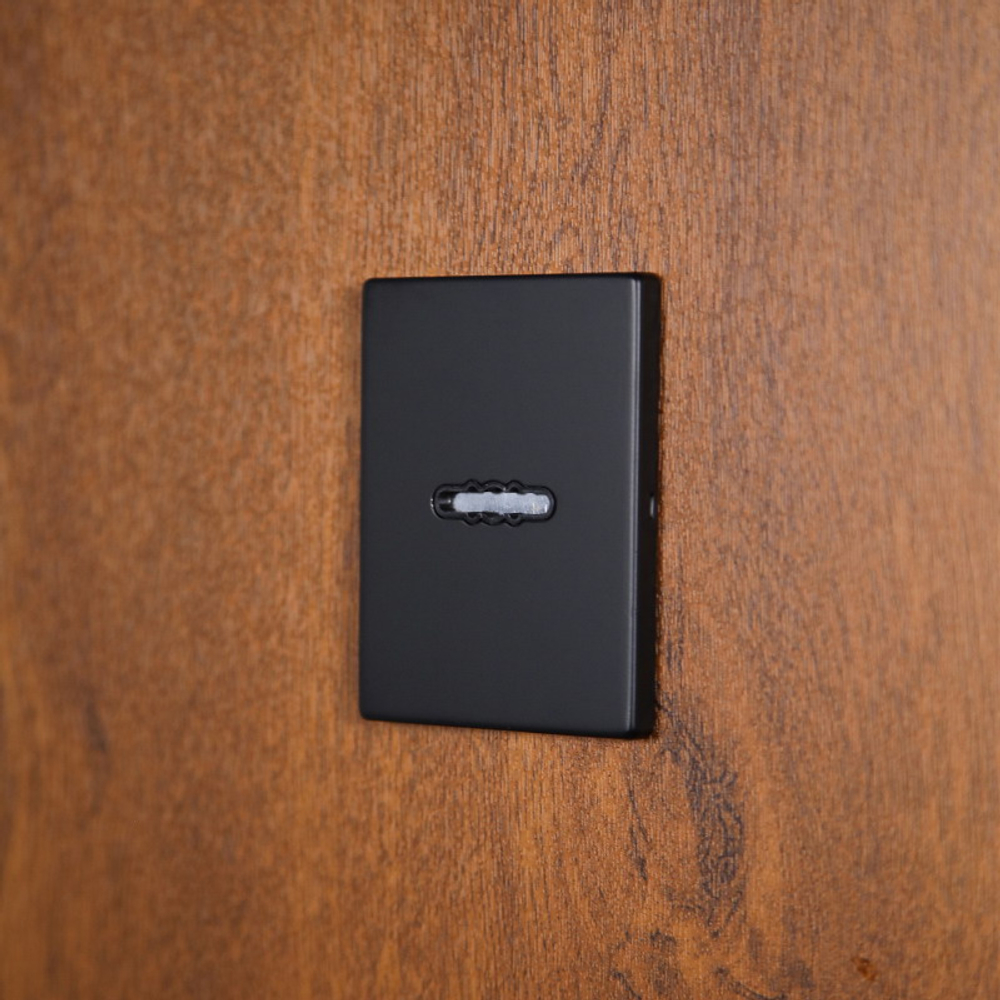 Стальная дверь "Денвер" (адаптивная замковая часть). Заказная модель.