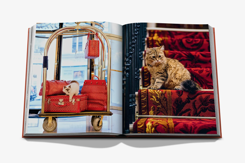 Assouline Книга The Classics Collection Chic Cats на английском языке