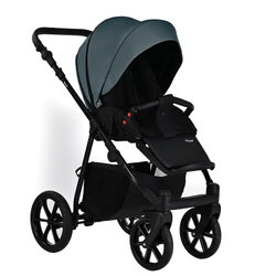 Детская коляска Pituso Tossa 2 в 1 TS/50/05 Sage