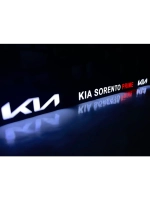 LED рамка под госномер для авто. С индивидуальным дизайном.