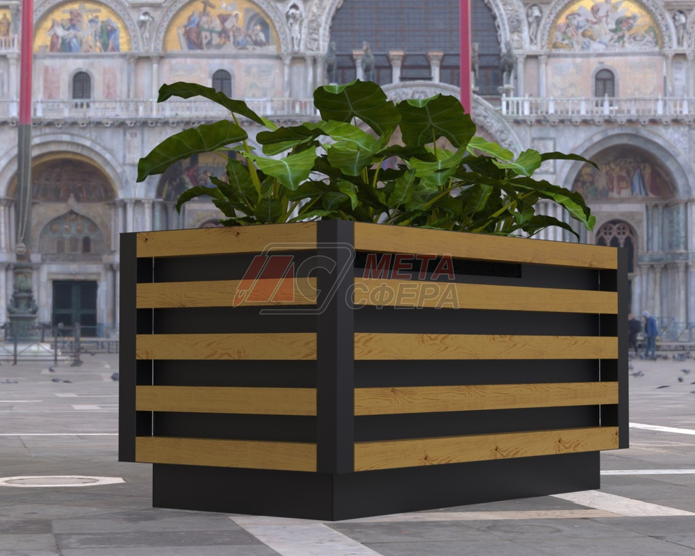 Вазон Кортен L