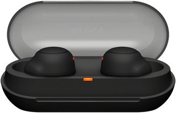 Беспроводные наушники Sony WF-C500, черный