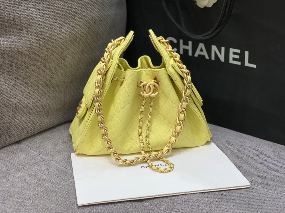 Chanel 25 Mini Handbag 22 cm