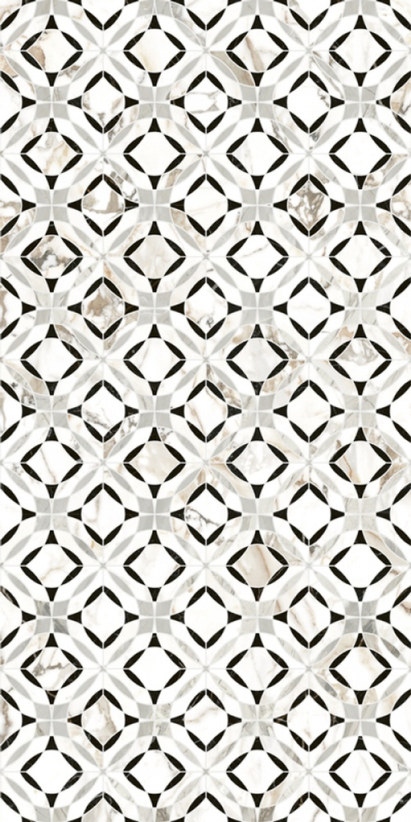 A2INT00205T Raffaello 3D Satin 60x120