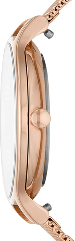 Женские наручные часы Skagen SKW2865