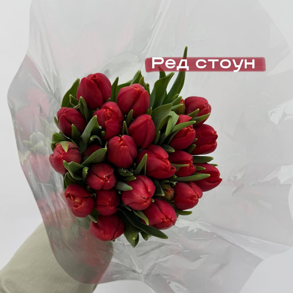 Красные тюльпаны Редстоун 1шт поштучно