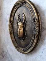 Барельеф на стену из гипса Жук олень