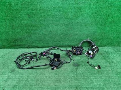 Проводка мотор. отсека Chery Tiggo 7 Pro Max 22-нв