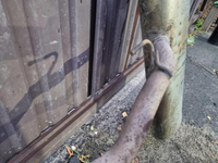 Глушитель Nissan Qashqai J11 (2013-2023)