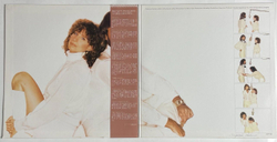 Винтажная виниловая пластинка LP Barbra Streisand and Barry Gibb Guilty (Japan 1980) (Obi)