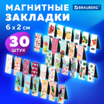 Закладки для книг МАГНИТНЫЕ "MIX" набор 30 шт. 60x20 мм BRAUBERG (3 штуки в упаковке)