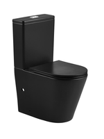 Унитаз компакт WeltWasser WW SALZBACH 001 GL-BL 10000011165 черный глянец