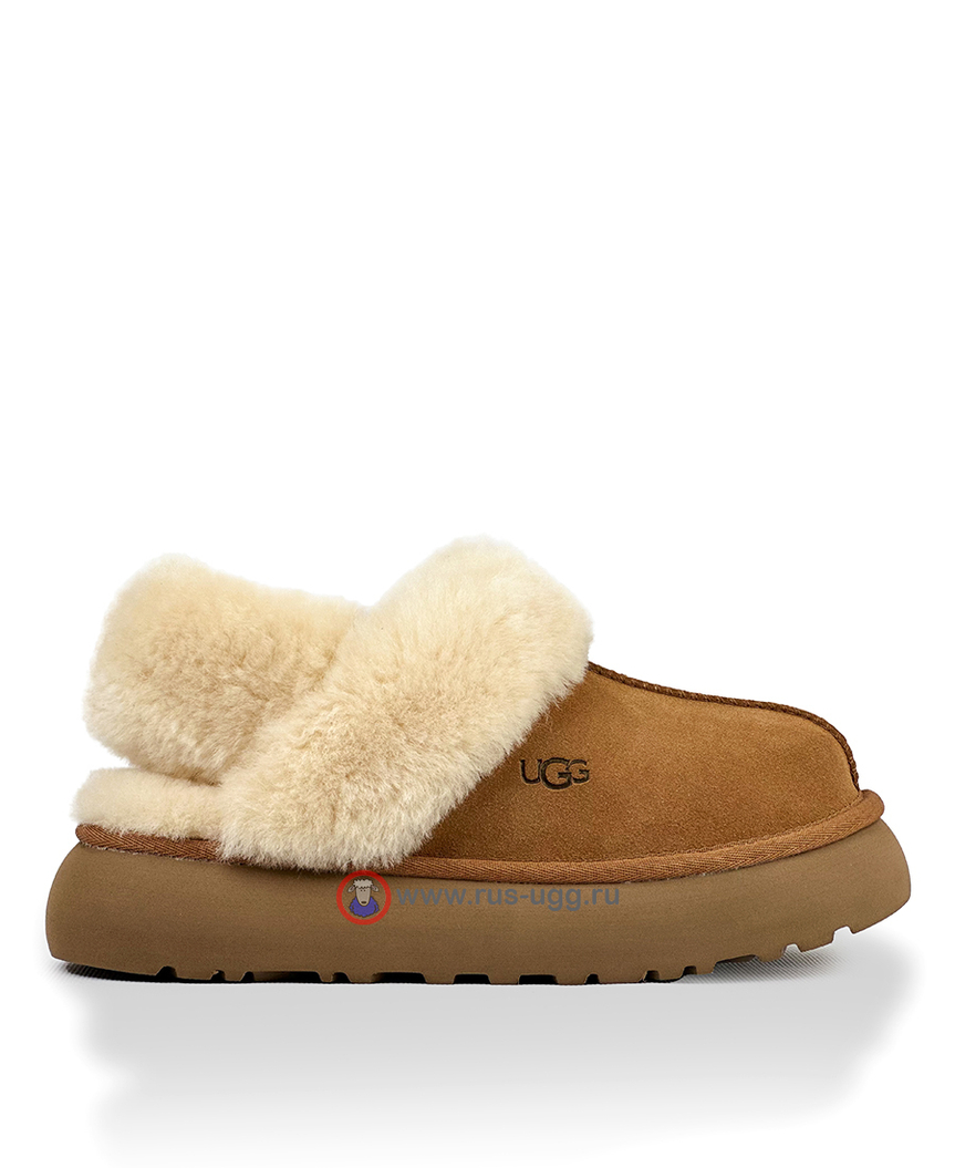 SLIPPERS DISQUETTE Chestnut