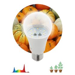 Фитолампа для растений светодиодная ЭРА FITO-11W-Ra90-E 27 полного спектра new 11 Вт Е27 | Фитолампы Е27