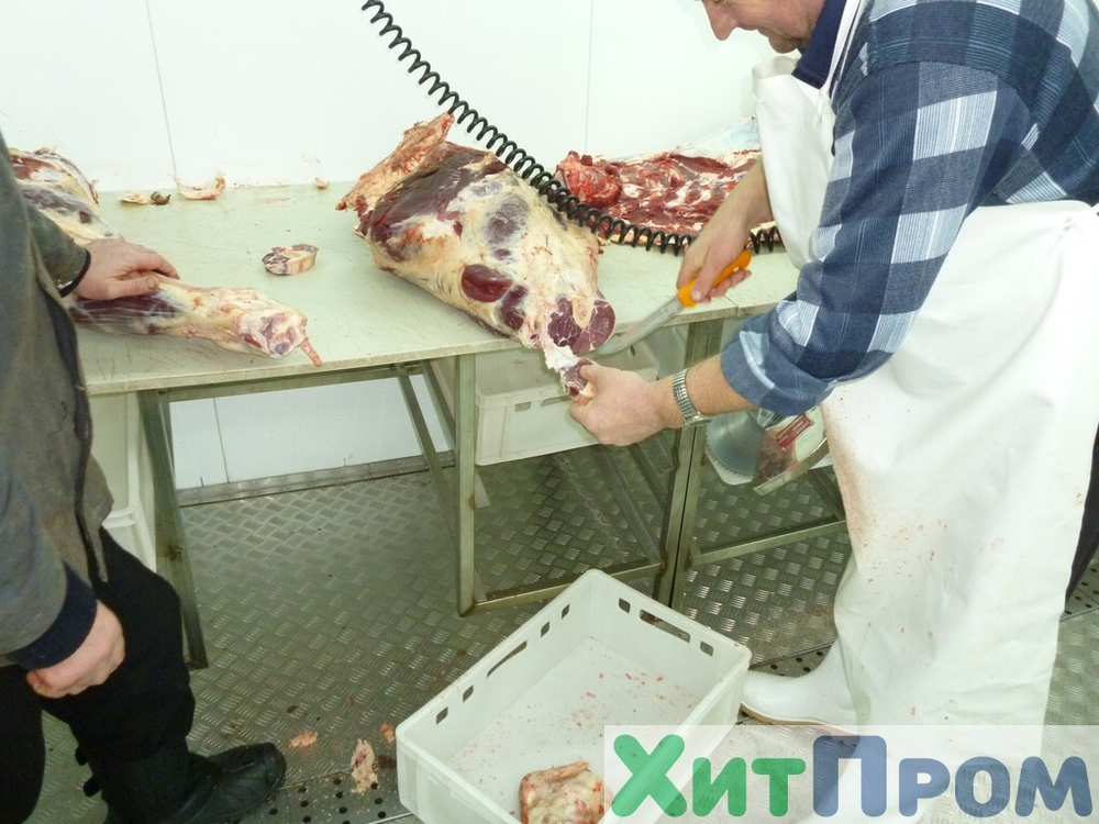 Комплекс убоя и переработки КРС до 20 голов/смена и МРС до 200 голов/смена. р. Татарстан