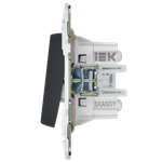 SKANDY Выключатель 2-клавишный перекрестный 10А SK-V06Bl черный IEK