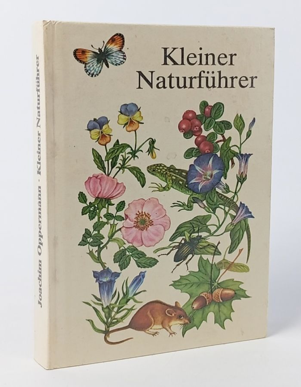 Kleiner Naturfhrer